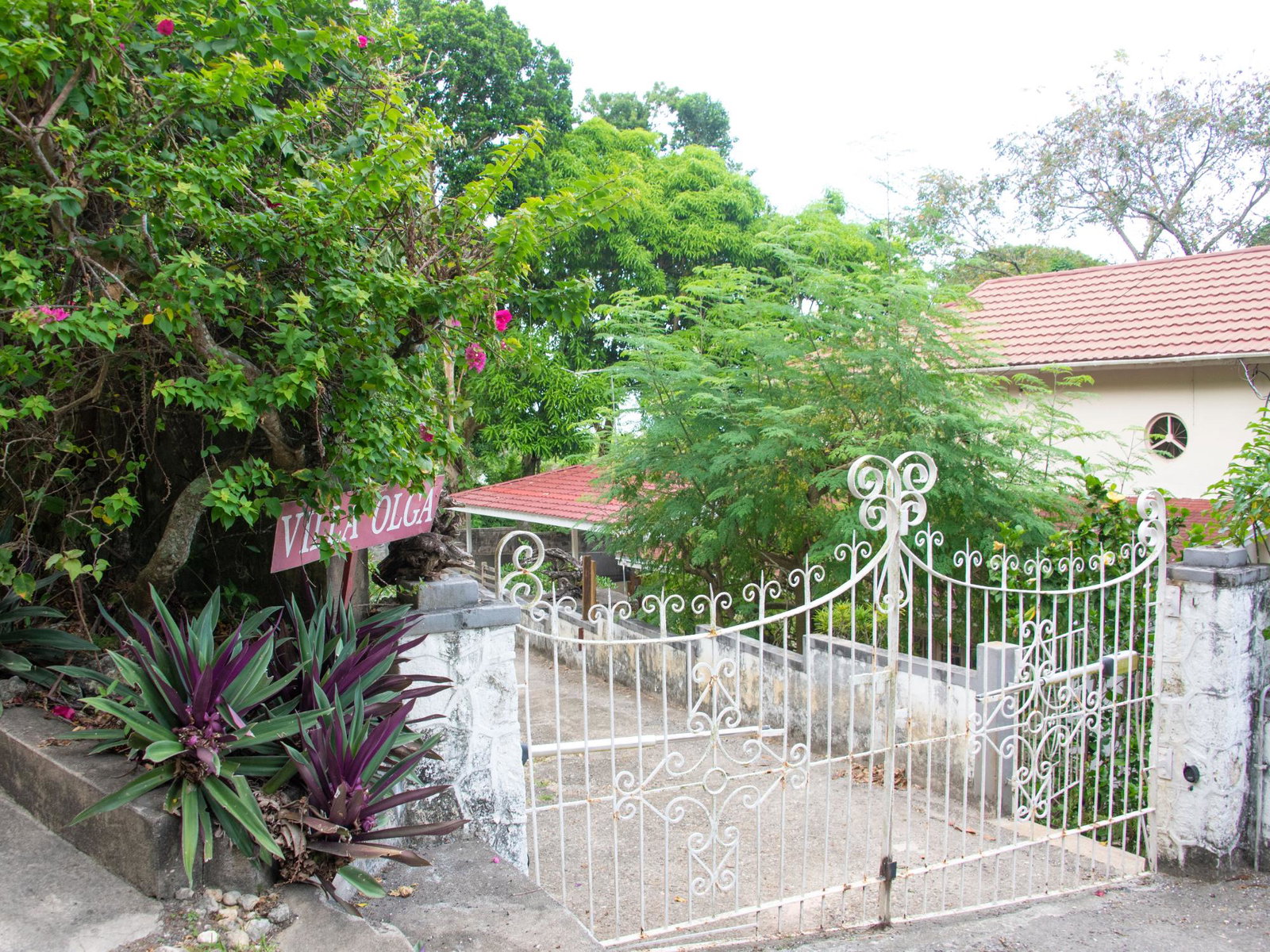 Fifth image of Lot 11 Content Pen in Lime Hall, St. Ann, Jamaica - property is For Sale