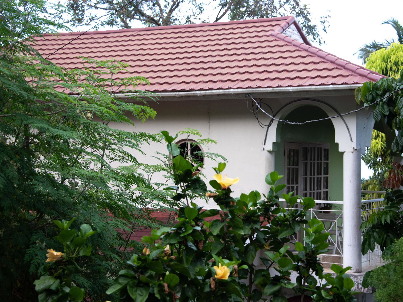 Sixth image of Lot 11 Content Pen in Lime Hall, St. Ann, Jamaica - property is For Sale