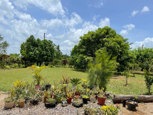 Third image of Lot #2 Pond Rd., Turners Distric in Chapleton, Clarendon, Jamaica - property is For Sale