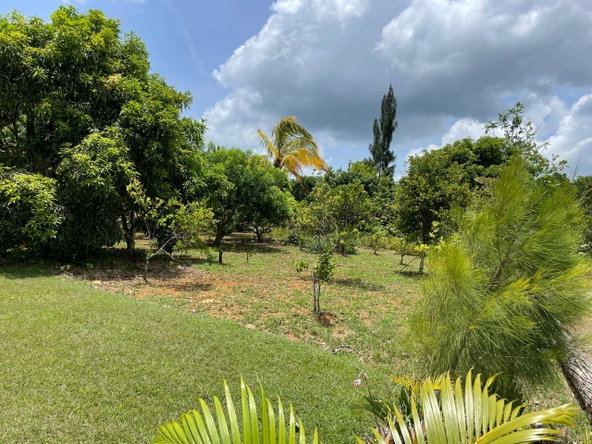 Twenty-Third image of Lot #2 Pond Rd., Turners Distric in Chapleton, Clarendon, Jamaica - property is For Sale
