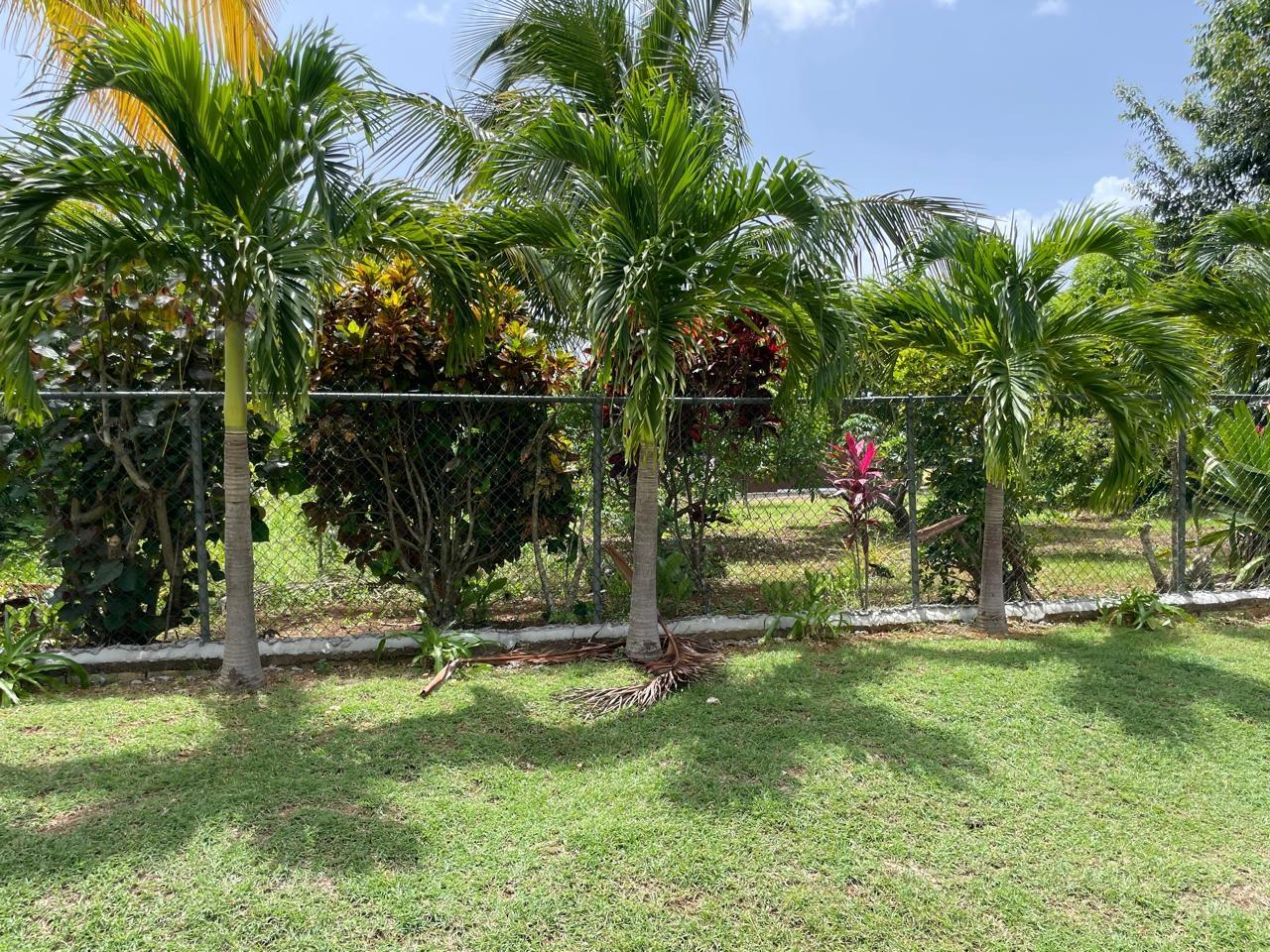 Twenty-Fourth image of Lot #2 Pond Rd., Turners Distric in Chapleton, Clarendon, Jamaica - property is For Sale
