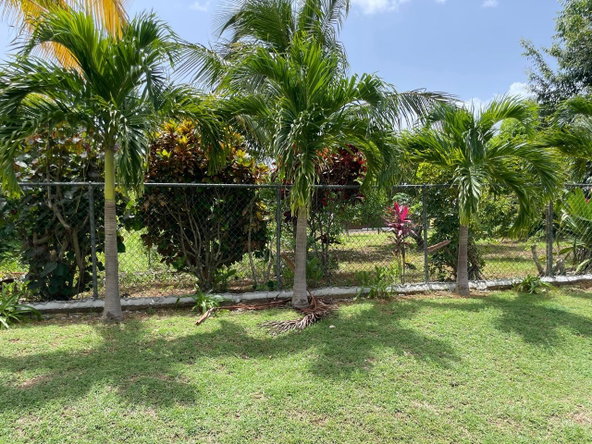 Twenty-Fourth image of Lot #2 Pond Rd., Turners Distric in Chapleton, Clarendon, Jamaica - property is For Sale
