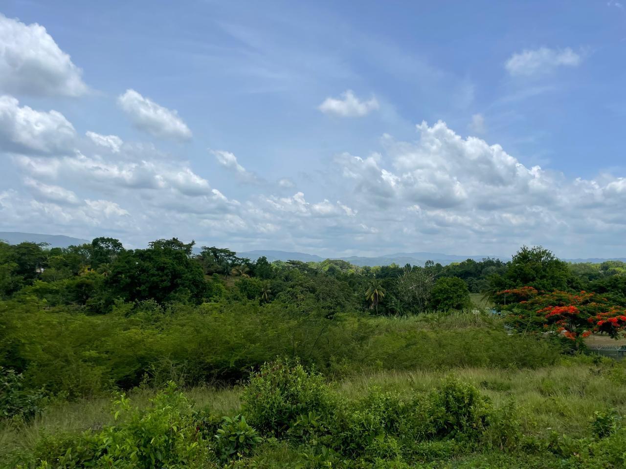 Twenty-Seventh image of Lot #2 Pond Rd., Turners Distric in Chapleton, Clarendon, Jamaica - property is For Sale