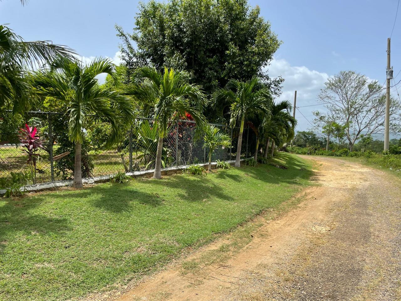 Twenty-Eighth image of Lot #2 Pond Rd., Turners Distric in Chapleton, Clarendon, Jamaica - property is For Sale
