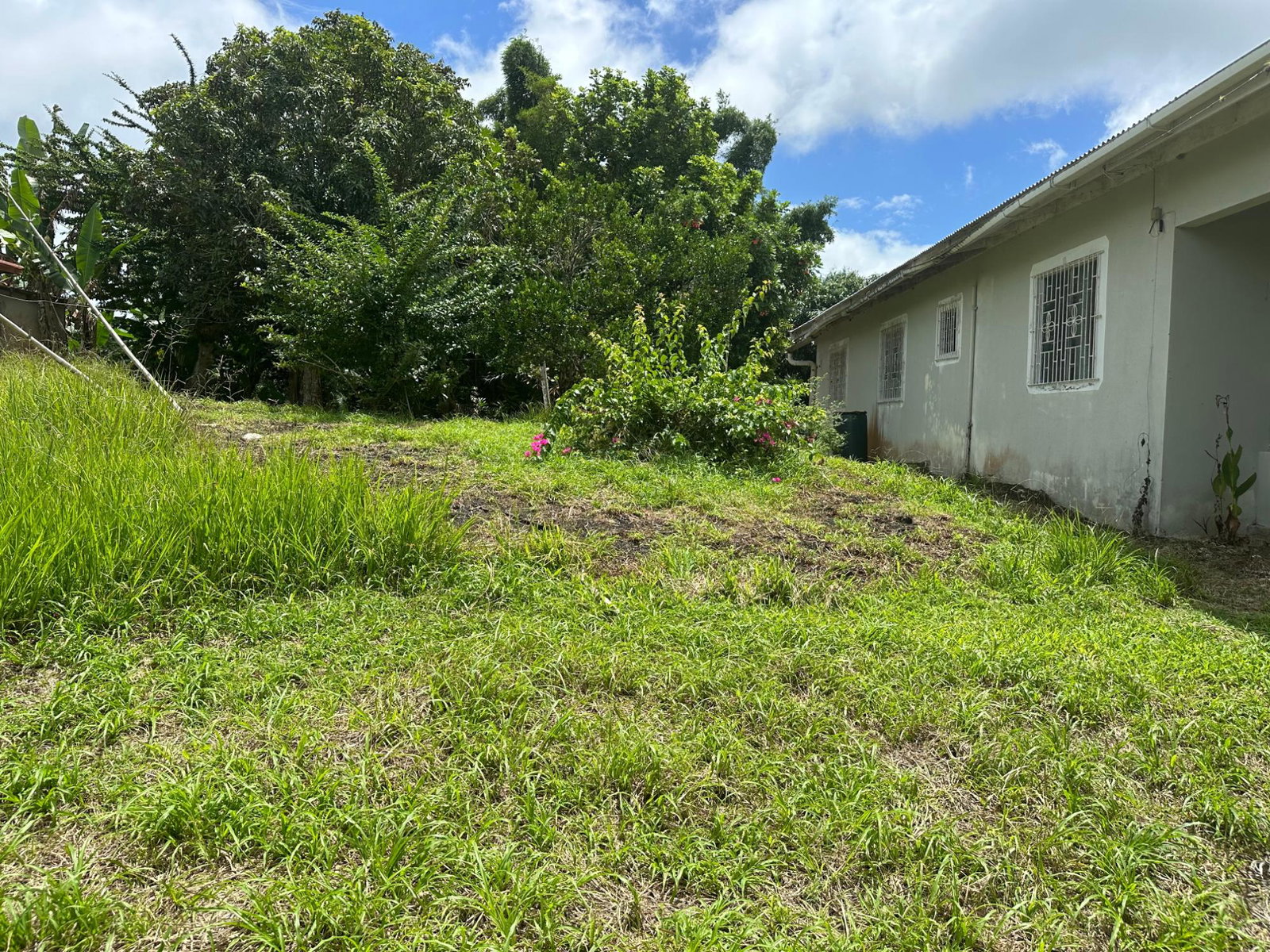 Sixth image of Guy's Hill in Guys Hill, St. Mary, Jamaica - property is For Sale