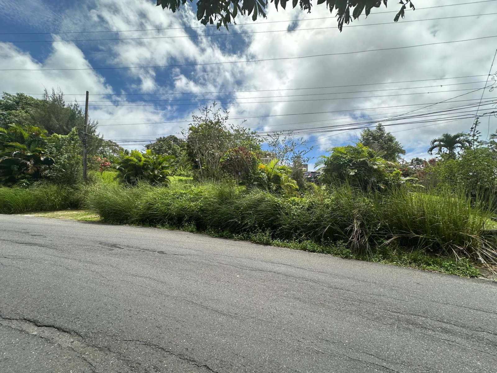 Seventh image of Guy's Hill in Guys Hill, St. Mary, Jamaica - property is For Sale