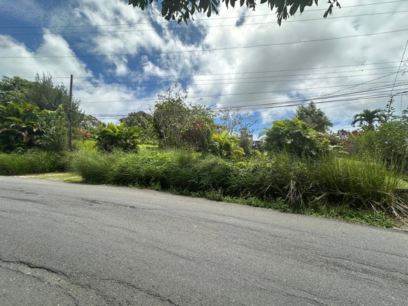 Seventh image of Guy's Hill in Guys Hill, St. Mary, Jamaica - property is For Sale