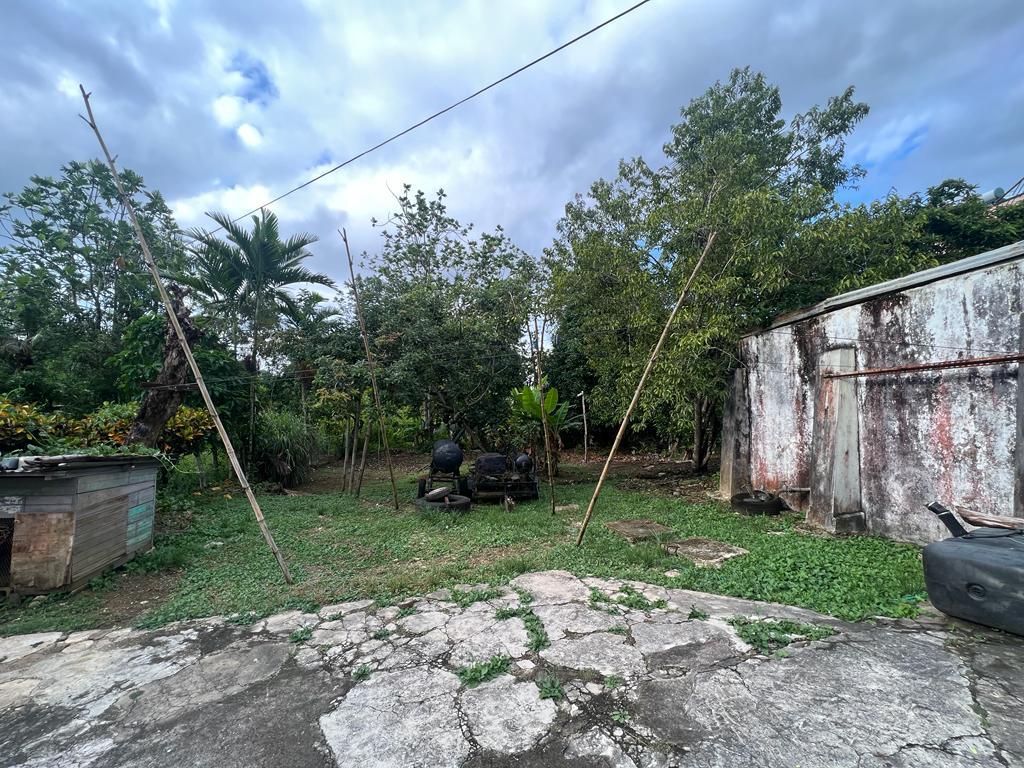 Sixteenth image of 14 Cotton Tree Estate in Anchovy, St. James, Jamaica - property is For Sale