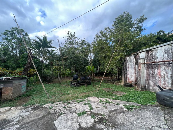 Sixteenth image of 14 Cotton Tree Estate in Anchovy, St. James, Jamaica - property is For Sale