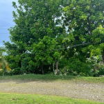 First image of 14 Cotton Tree Estate in Anchovy, St. James, Jamaica - property is For Sale