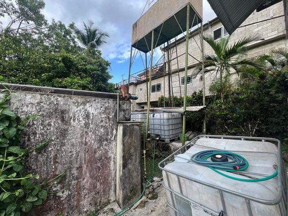Seventeenth image of 14 Cotton Tree Estate in Anchovy, St. James, Jamaica - property is For Sale