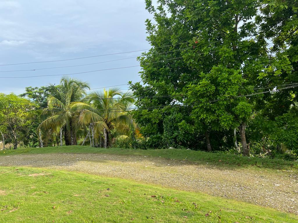Nineteenth image of 14 Cotton Tree Estate in Anchovy, St. James, Jamaica - property is For Sale