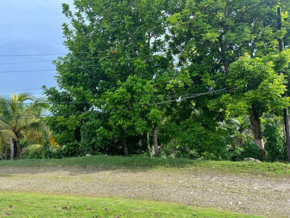First image of 14 Cotton Tree Estate in Anchovy, St. James, Jamaica - property is For Sale