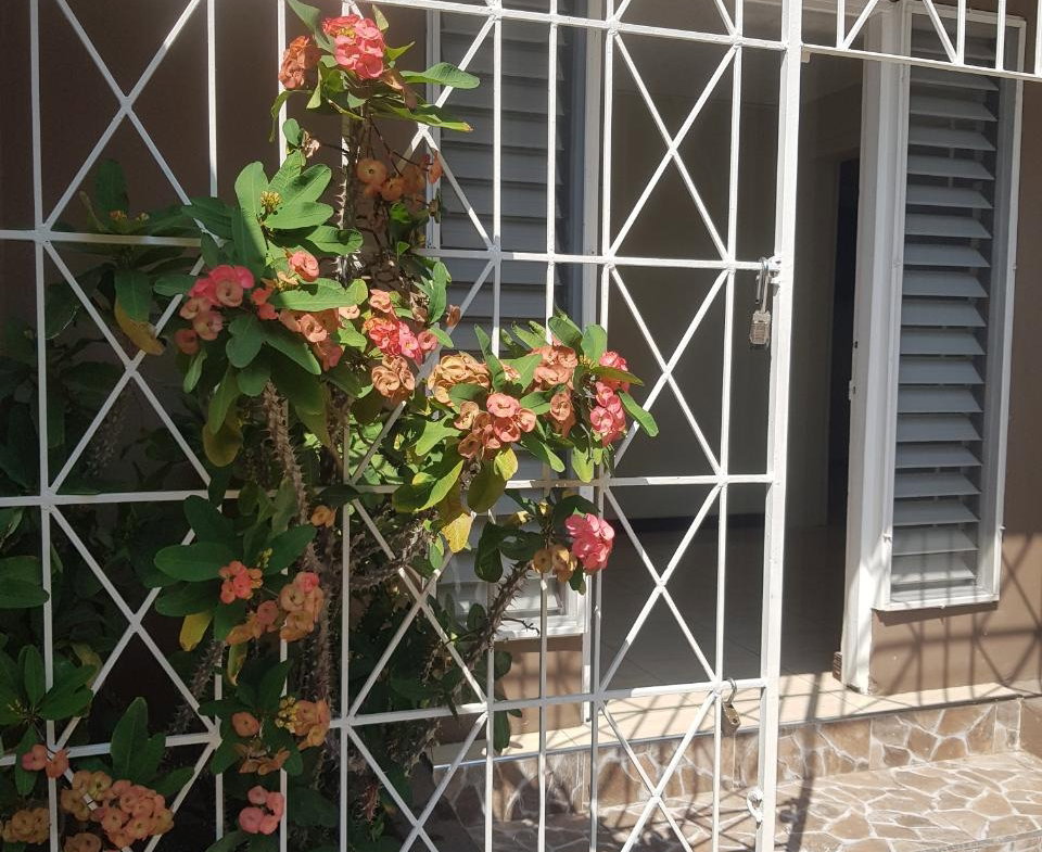 Eighth image of 2- 3 Fairway Avenue in Kingston 6, St. Andrew, Jamaica - property is For Rent