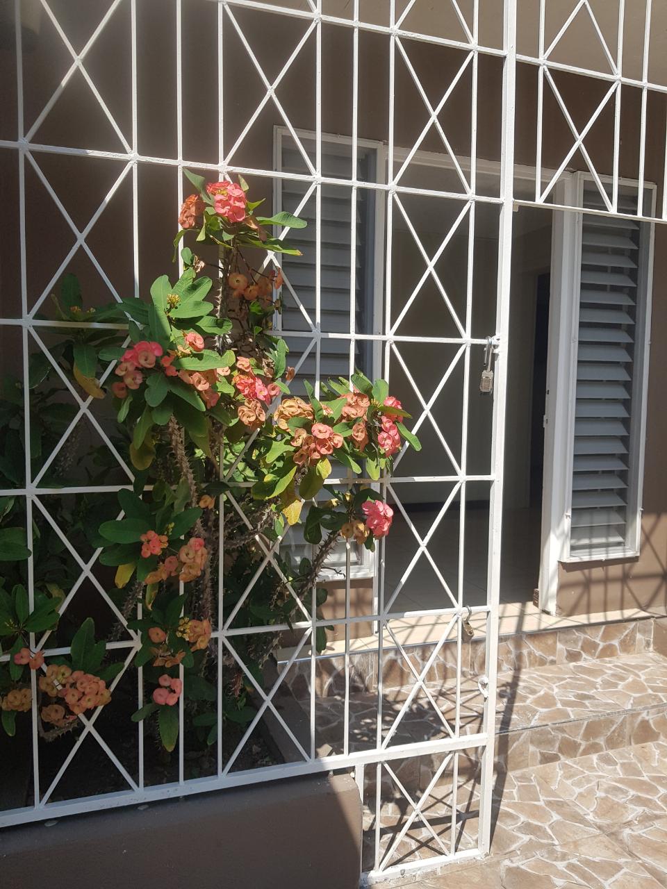 Eighth image of 2- 3 Fairway Avenue in Kingston 6, St. Andrew, Jamaica - property is For Rent