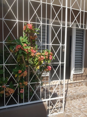 Eighth image of 2- 3 Fairway Avenue in Kingston 6, St. Andrew, Jamaica - property is For Rent