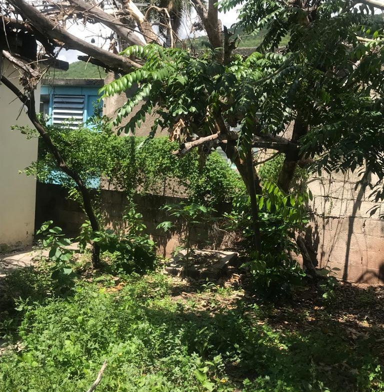 Ninth image of 86 Mahoe Drive, Nightingale in Bushy Park, St. Catherine, Jamaica - property is For Sale
