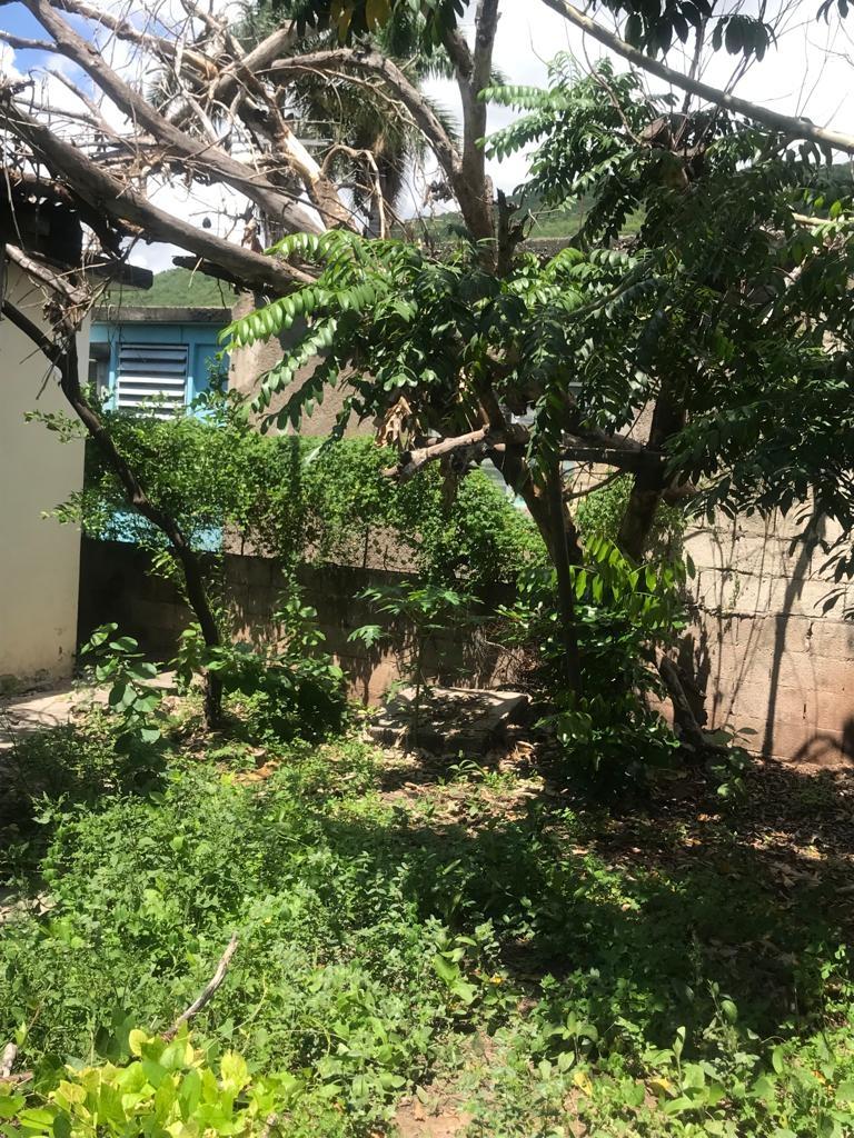 Ninth image of 86 Mahoe Drive, Nightingale in Bushy Park, St. Catherine, Jamaica - property is For Sale