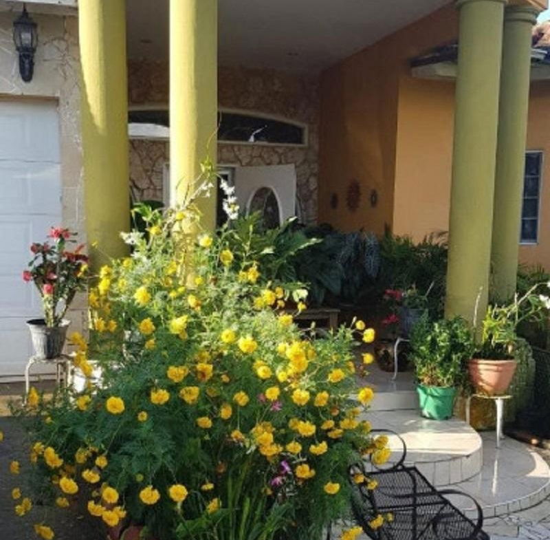 Second image of Knollis in Knollis, St. Catherine, Jamaica - property is For Sale
