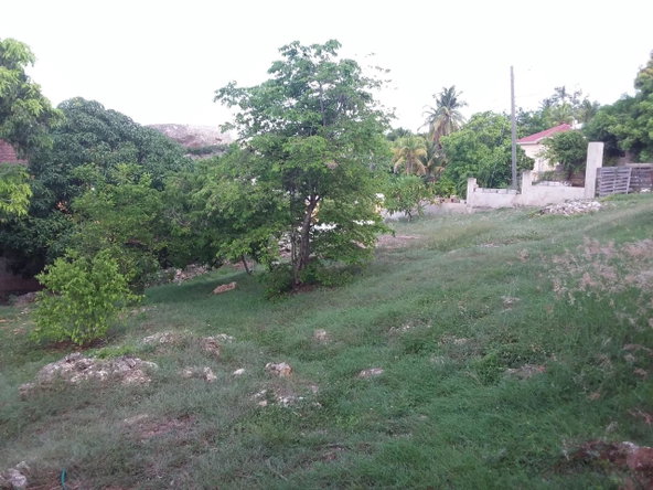 Thirteenth image of 242 Tilda Drive St. Jago Heig in St. Jago Heights, St. Catherine, Jamaica - property is For Sale