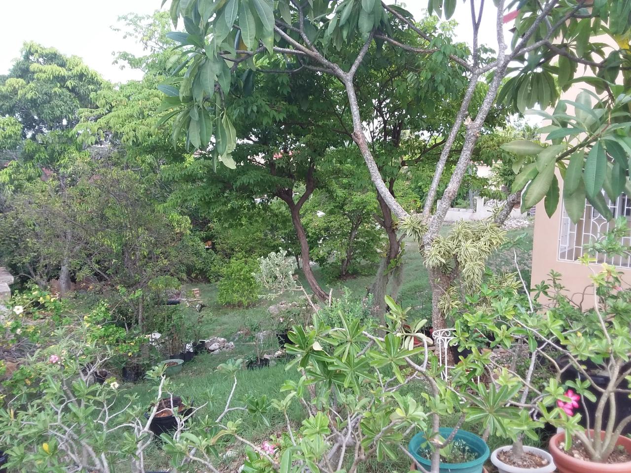 Fourteenth image of 242 Tilda Drive St. Jago Heig in St. Jago Heights, St. Catherine, Jamaica - property is For Sale