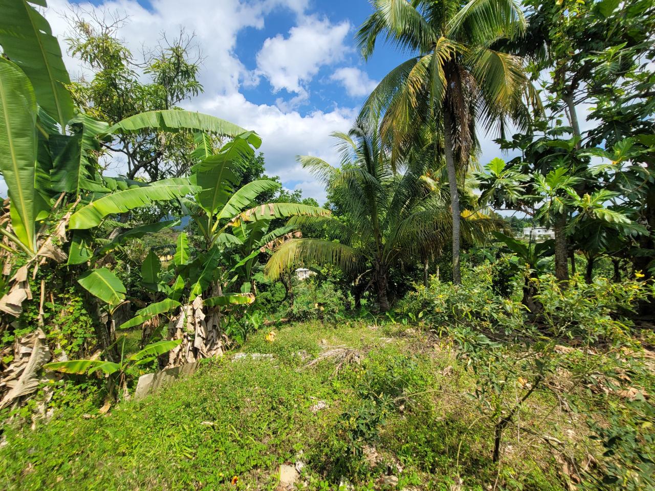 Twenty-Seventh image of 6 Bowers Run in Ewarton, St. Catherine, Jamaica - property is For Sale