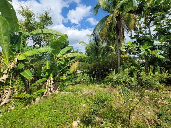 Twenty-Seventh image of 6 Bowers Run in Ewarton, St. Catherine, Jamaica - property is For Sale