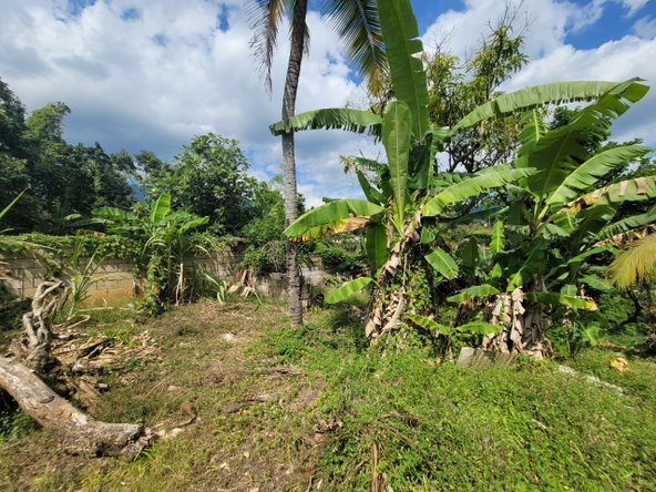 Twenty-Eighth image of 6 Bowers Run in Ewarton, St. Catherine, Jamaica - property is For Sale