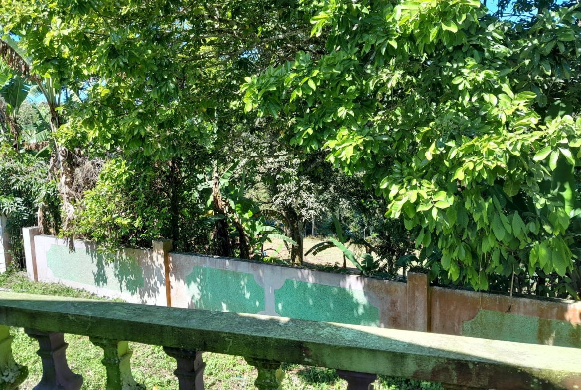 Twenty-Seventh image of Part of Mount Moriah, St. in Borobridge, St. Ann, Jamaica - property is For Sale