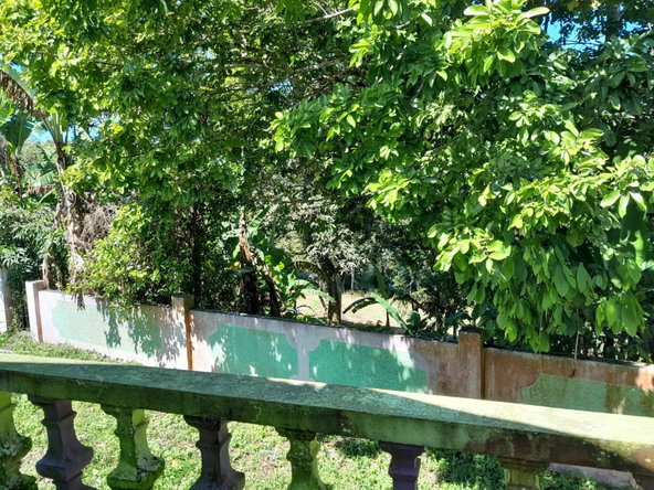 Twenty-Seventh image of Part of Mount Moriah, St. in Borobridge, St. Ann, Jamaica - property is For Sale