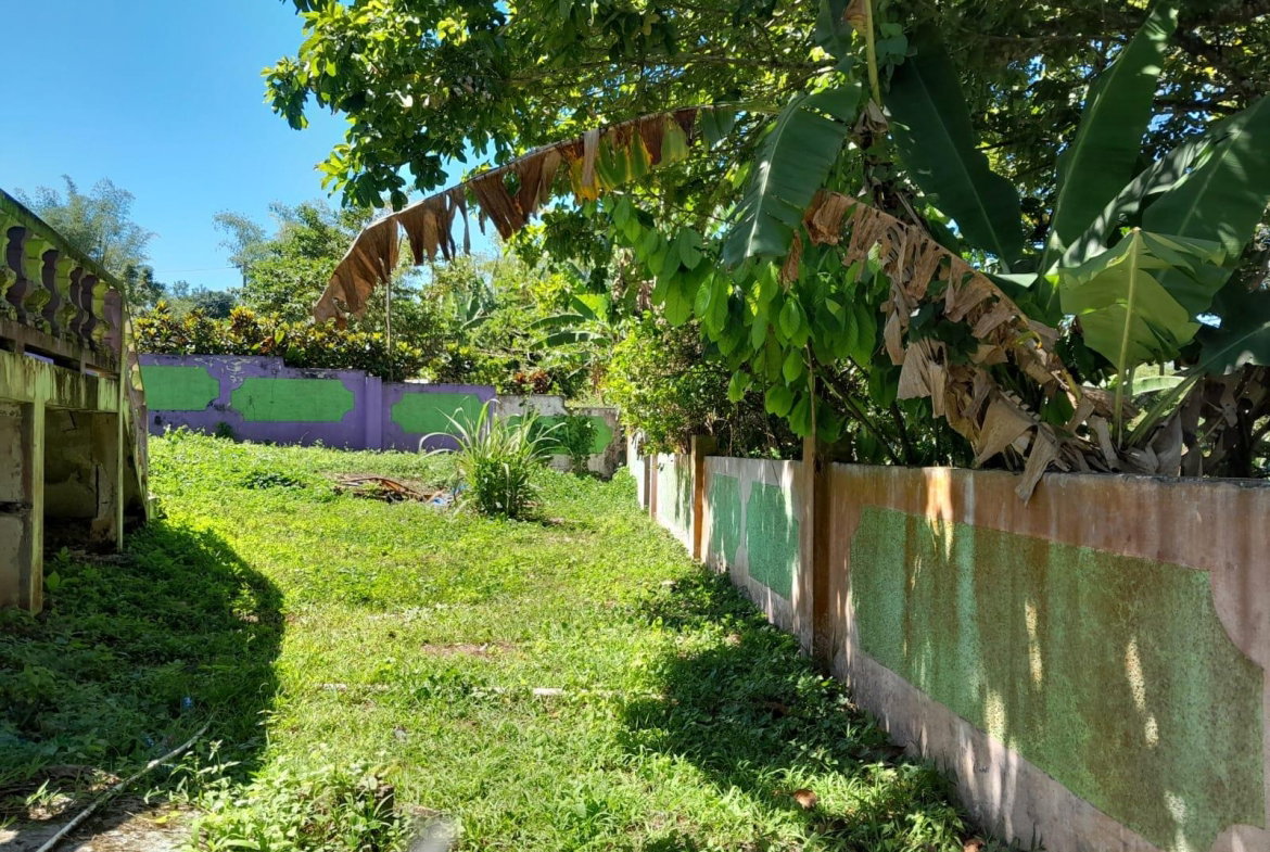 Twenty-Eighth image of Part of Mount Moriah, St. in Borobridge, St. Ann, Jamaica - property is For Sale