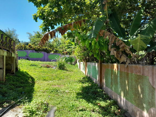 Twenty-Eighth image of Part of Mount Moriah, St. in Borobridge, St. Ann, Jamaica - property is For Sale