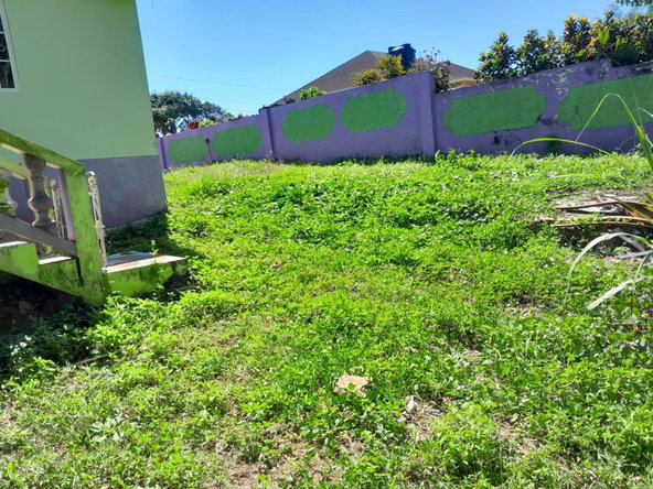 Thirtieth image of Part of Mount Moriah, St. in Borobridge, St. Ann, Jamaica - property is For Sale