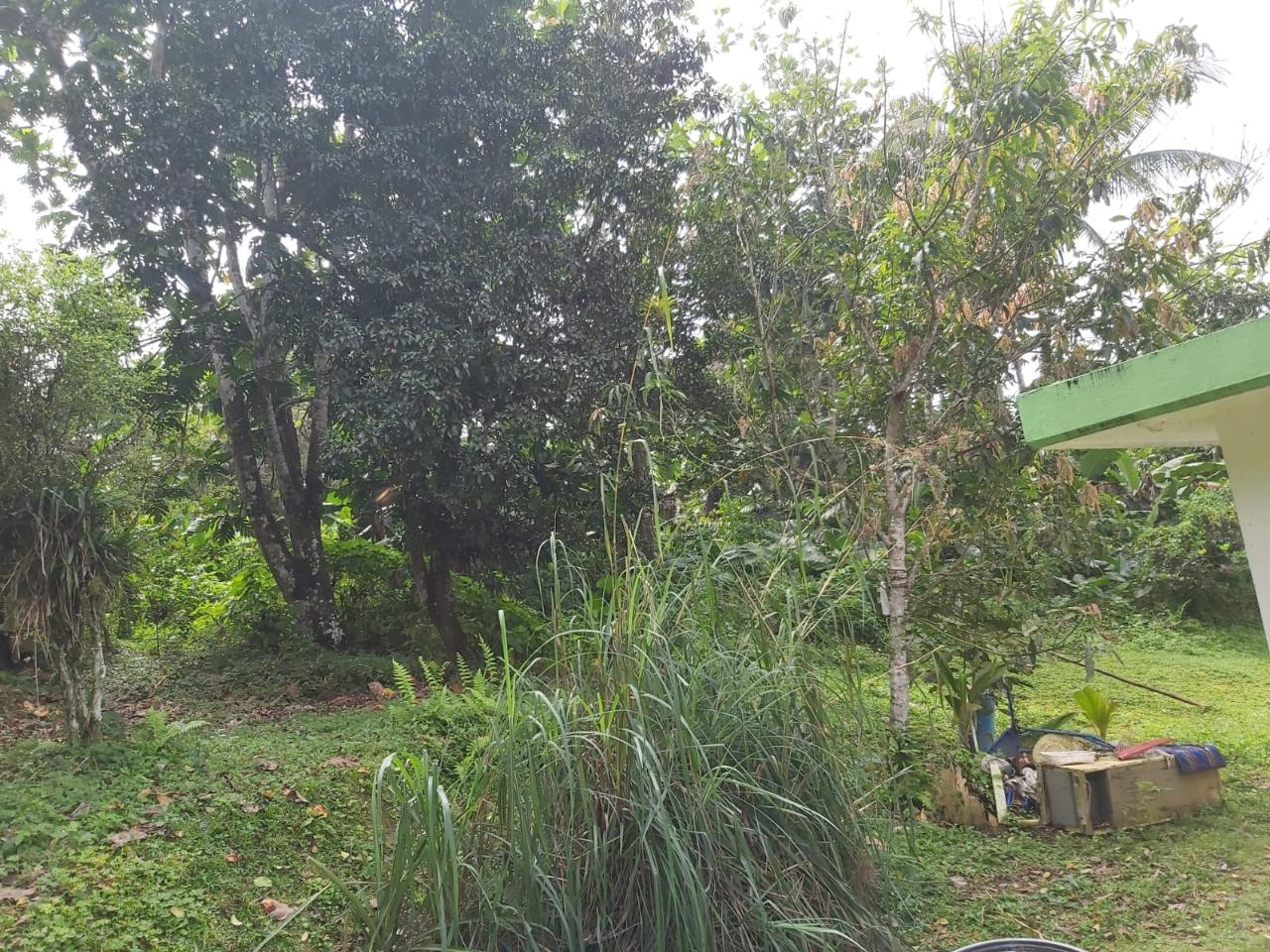Fourth image of 139h- Haughton Grove, Ramble in Ramble, Hanover, Jamaica - property is For Sale