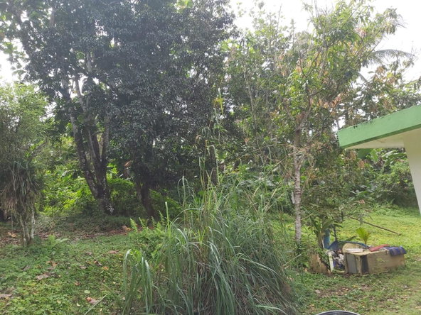 Fourth image of 139h- Haughton Grove, Ramble in Ramble, Hanover, Jamaica - property is For Sale