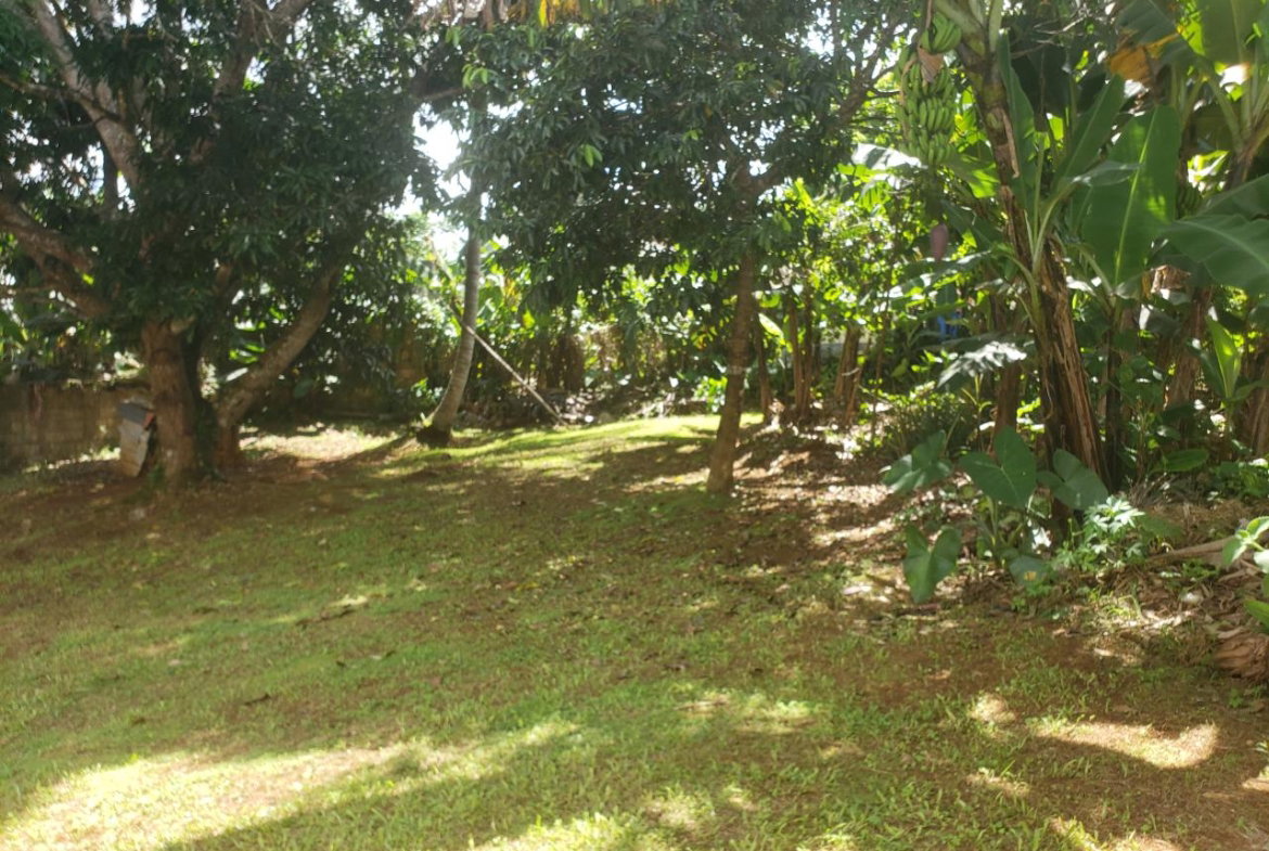 Sixth image of 2 West Acre, Mandeville, in Mandeville, Manchester, Jamaica - property is For Sale