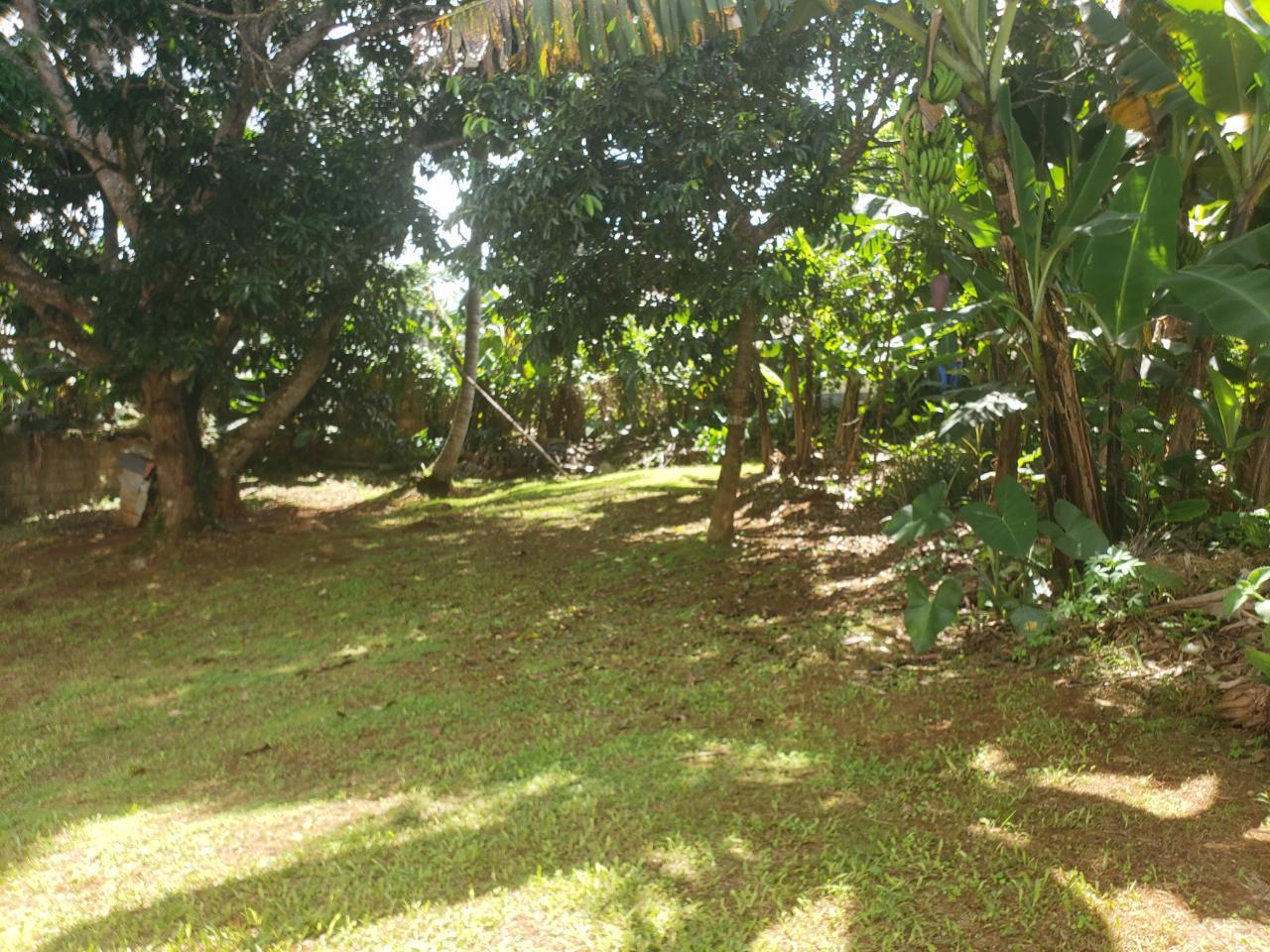 Sixth image of 2 West Acre, Mandeville, in Mandeville, Manchester, Jamaica - property is For Sale