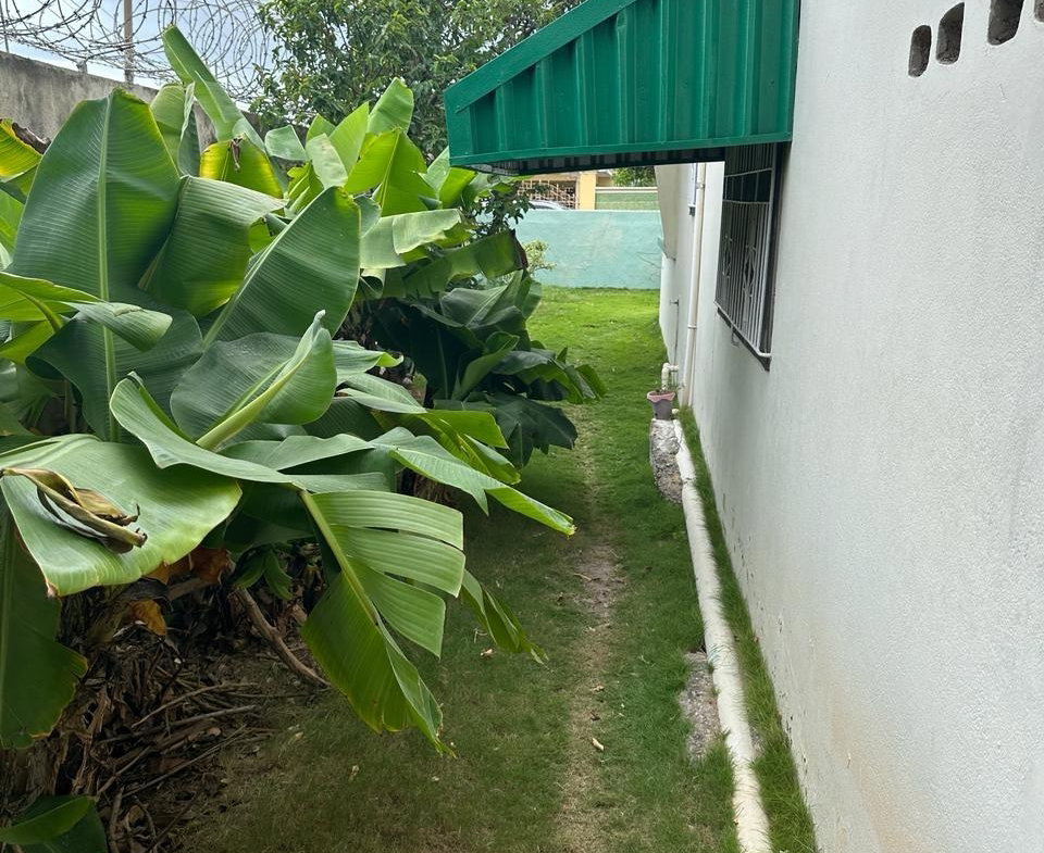 Third image of 6 Hyslope Avenue in Kingston 2, Kingston, Jamaica - property is For Sale