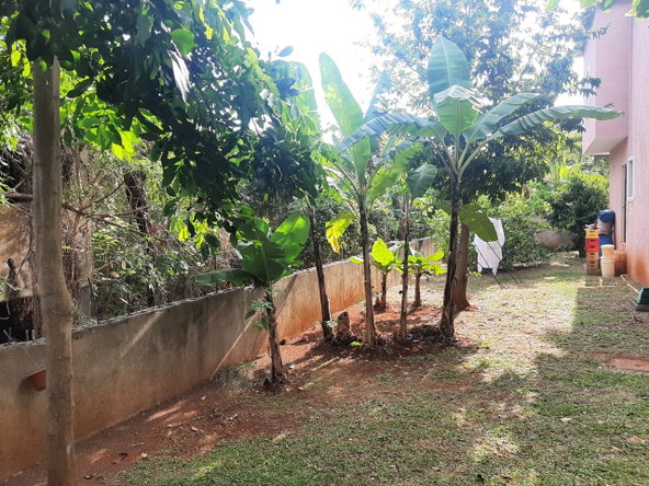 Twenty-Second image of 2- Horatio Dr, Chancery Hall in Kingston 19, St. Andrew, Jamaica - property is For Sale