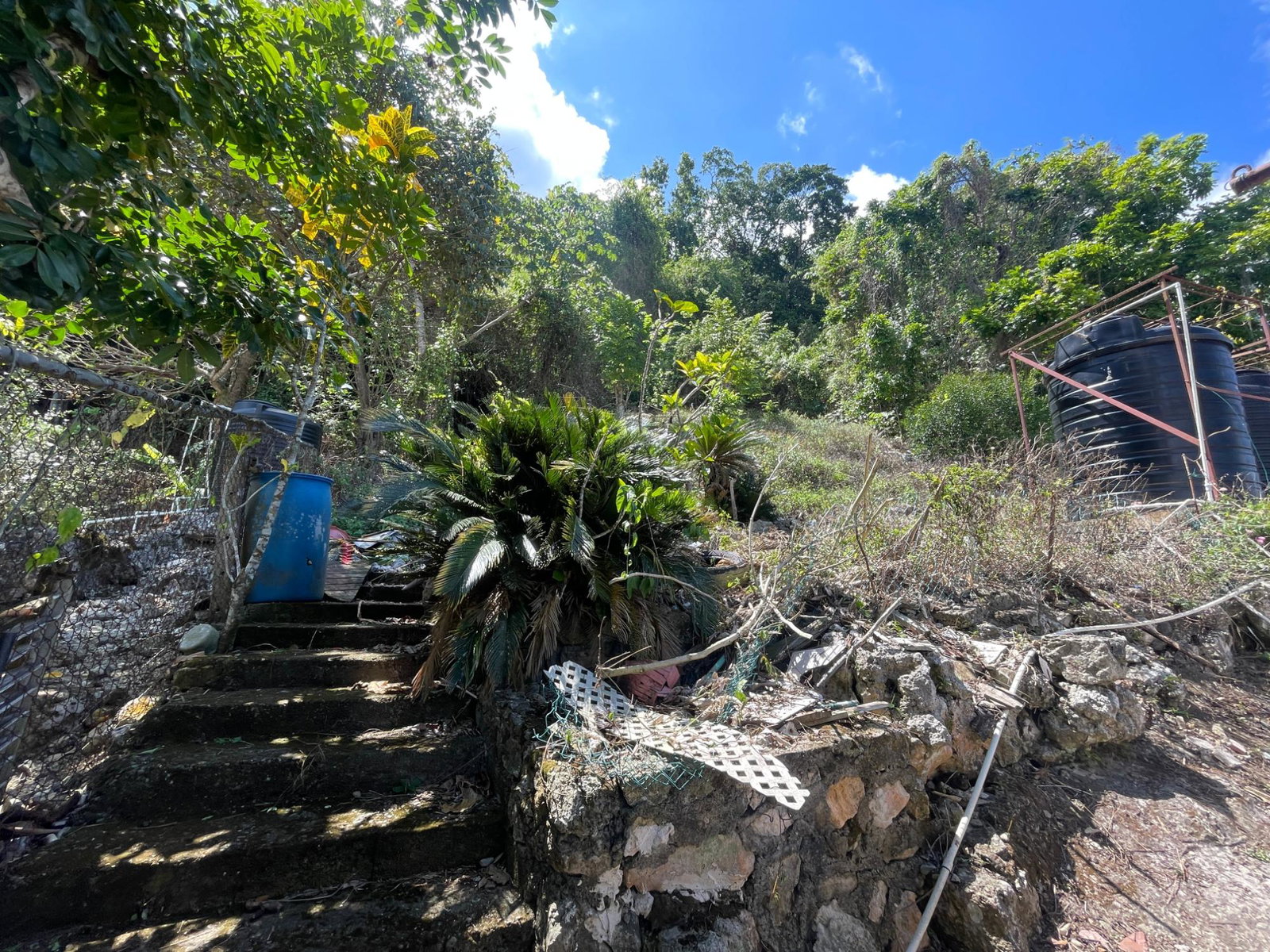 Twenty-First image of Anthurium Street, in Geddes Town, St. Mary, Jamaica - property is For Sale