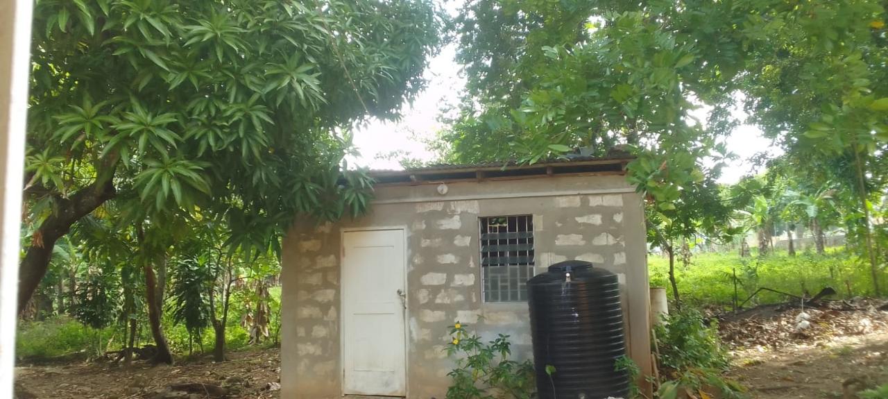 Thirteenth image of 23 Davis Avenue, Golden Grov in Golden Grove, St. Thomas, Jamaica - property is For Sale