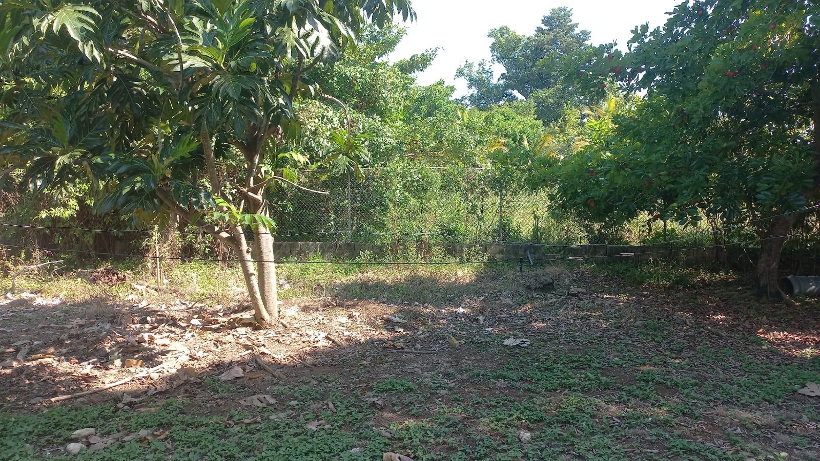 Twentieth image of Lot 6 St. Toolies, Toll Gate in Toll Gate, Clarendon, Jamaica - property is For Sale