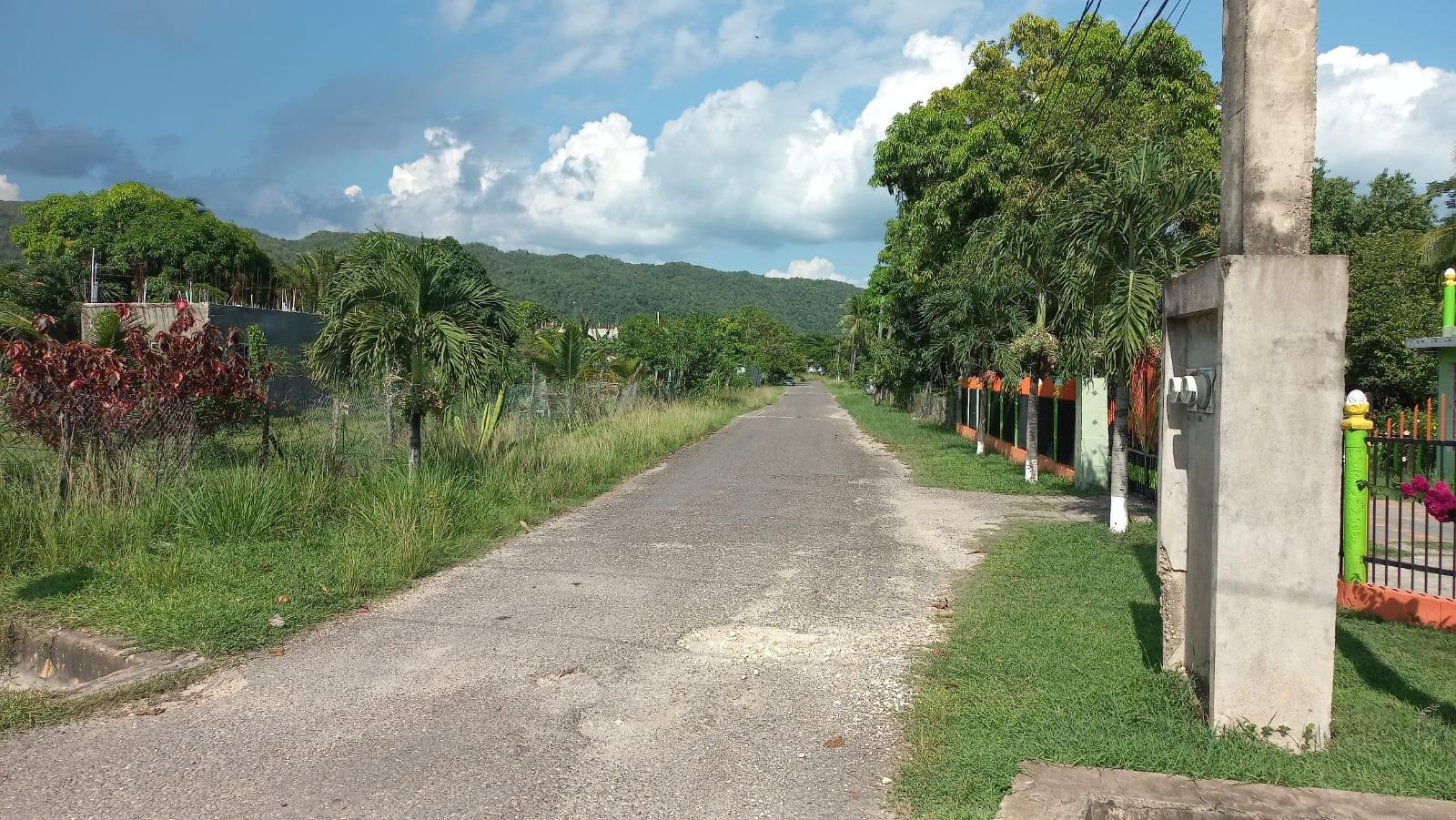 Third image of Lot 6 St. Toolies, Toll Gate in Toll Gate, Clarendon, Jamaica - property is For Sale