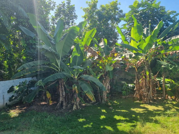 Twenty-First image of 257 Ocean View Drive in Tower Isle, St. Mary, Jamaica - property is For Rent