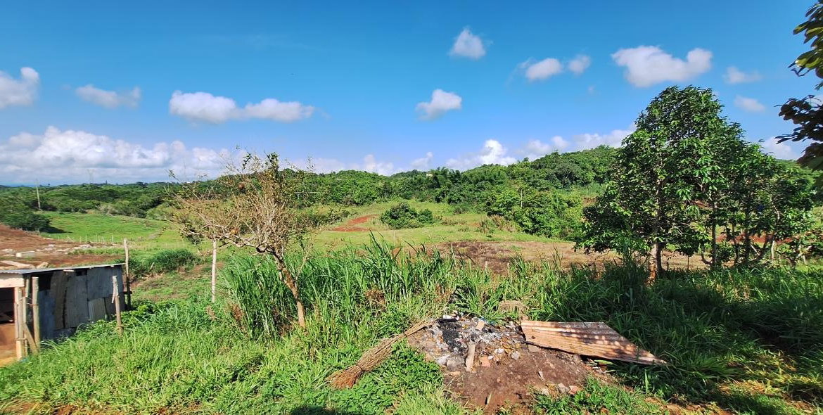 Eleventh image of Dayls Grove in Dalys Grove, Manchester, Jamaica - property is For Sale