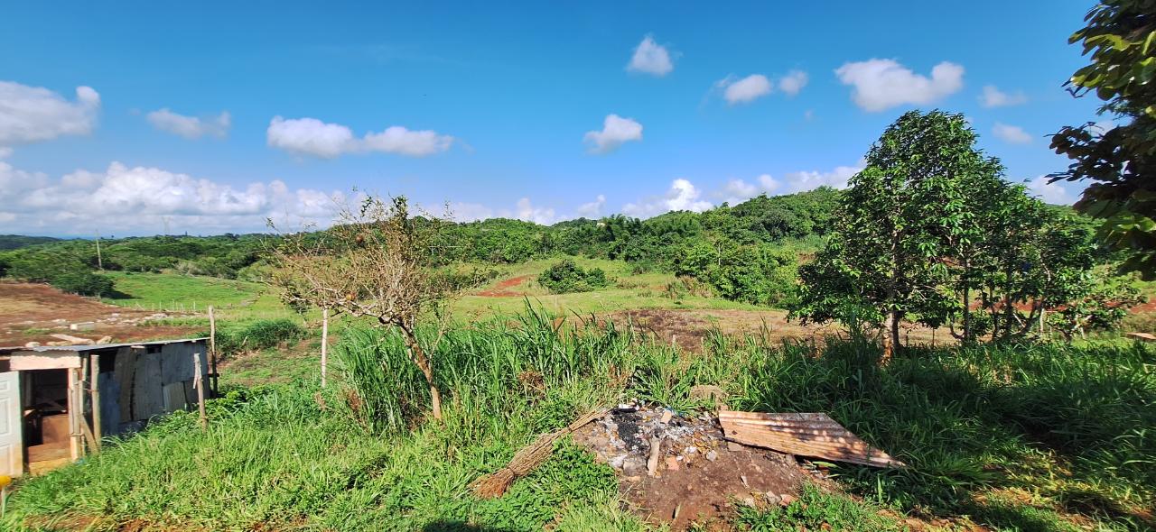 Charming-4-Bedroom-House-for-Sale-in-Dalys-Grove-Manchester Eleventh image of Dayls Grove in Dalys Grove, Manchester, Jamaica - property is For Sale