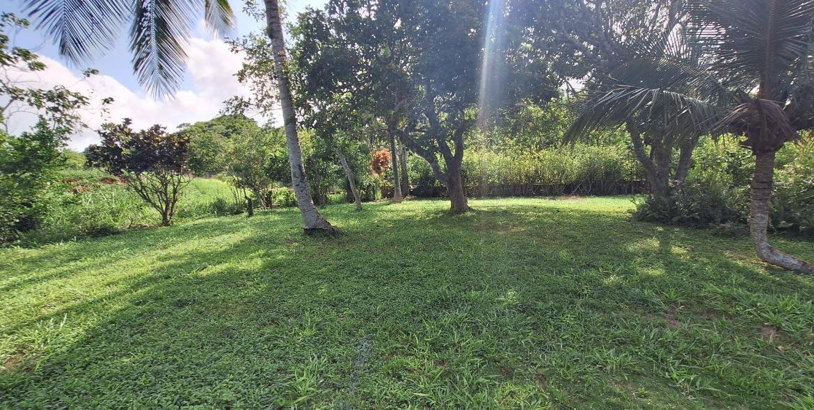 First image of Dayls Grove in Dalys Grove, Manchester, Jamaica - property is For Sale