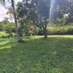 First image of Dayls Grove in Dalys Grove, Manchester, Jamaica - property is For Sale