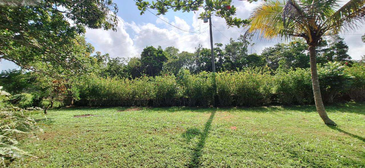 Charming-4-Bedroom-House-for-Sale-in-Dalys-Grove-Manchester Sixth image of Dayls Grove in Dalys Grove, Manchester, Jamaica - property is For Sale