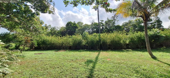 Sixth image of Dayls Grove in Dalys Grove, Manchester, Jamaica - property is For Sale